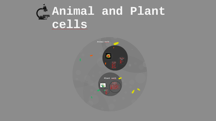 Animal and Plant cells by July Wimberly on Prezi