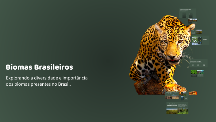 Biomas Brasileiros by Keven Mesquita on Prezi
