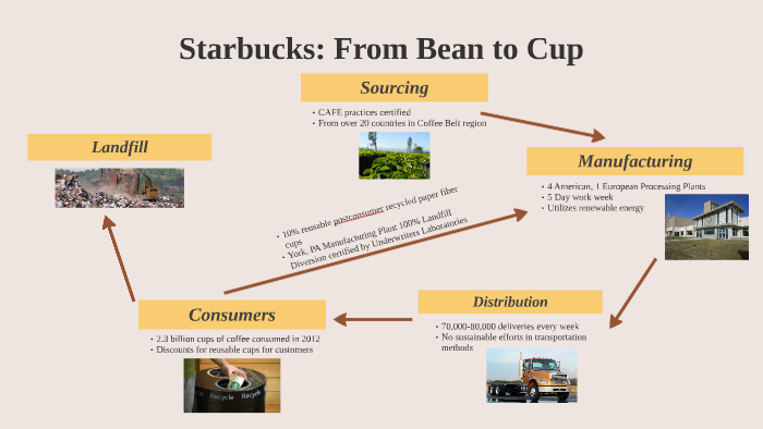 starbucks bean to cup