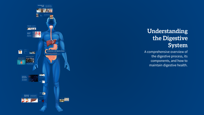 Understanding the Digestive System by Roy Phillips on Prezi
