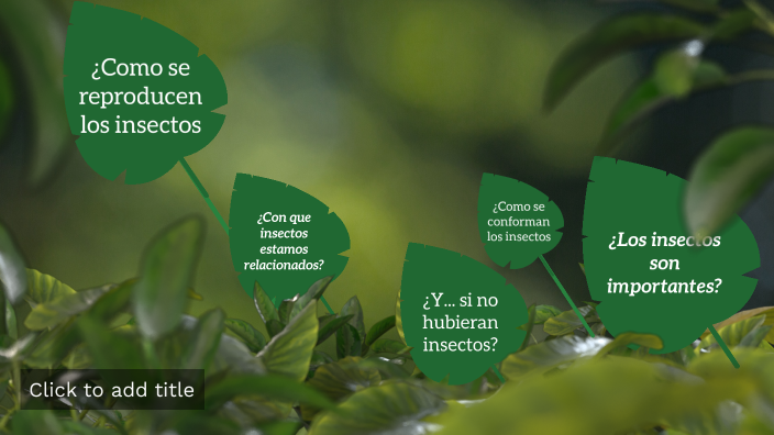 Un mundo sin insectos by AXEL DAMIAN DAZA LATORRE on Prezi