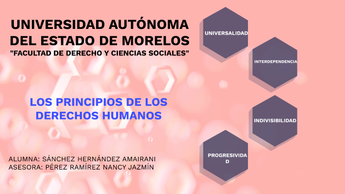 PRINCIPIOS DE LOS DERECHOS HUMANOS by AMAIRANI SANCHEZ HERNANDEZ on Prezi