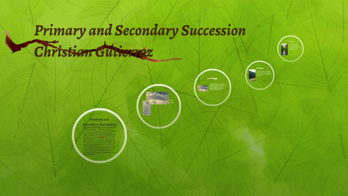 difference-between-primary-and-secondary-succession-by-christian-gutierrez