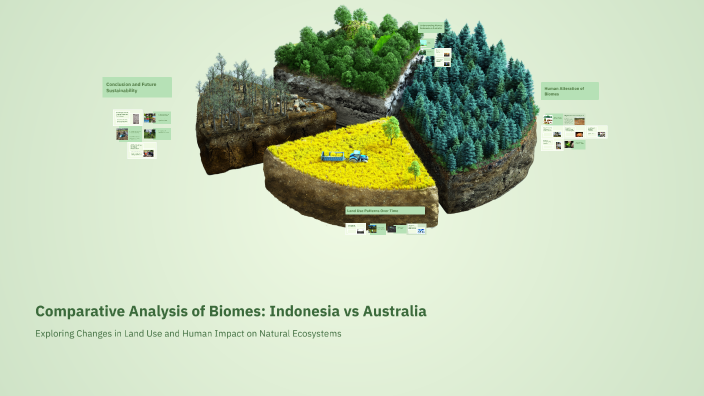 Comparative Graph Biomes Comparative Analysis of Biomes: Indonesia vs Australia by Zoe Mills on ...