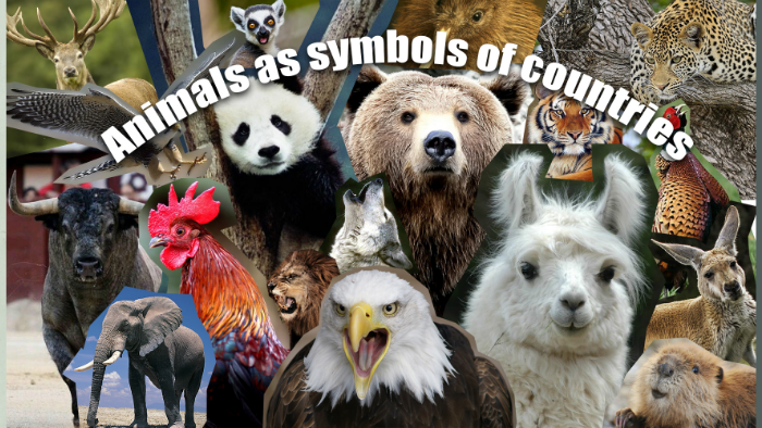 animals-as-symbols-of-countries-by-marina-yakovleva