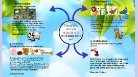Classifying Animals According to the Food They Eat by Maria Fernanda  Peñafiel Cox