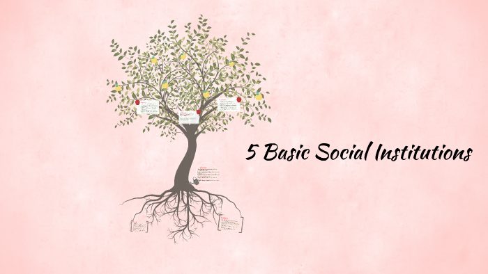 5-basic-social-institutions-by-skyler-stokoe