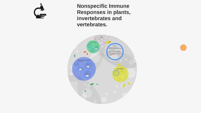 Non Specific Immune Responses By Dylan Nguyen On Prezi   6plhb27dqlfcn4q36avkwioost6jc3sachvcdoaizecfr3dnitcq 3 0 