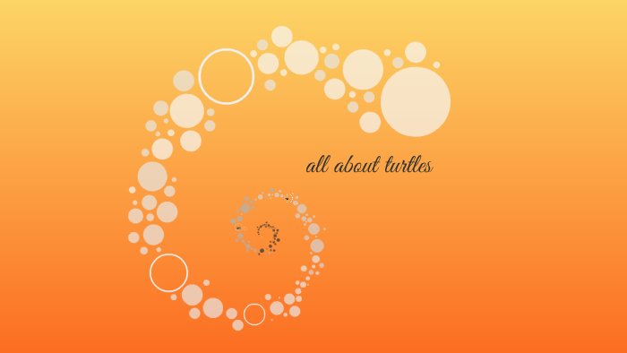 all about turtles by Lily Student on Prezi
