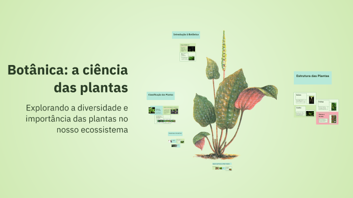 Botânica: a ciência das plantas by Joao gomes on Prezi