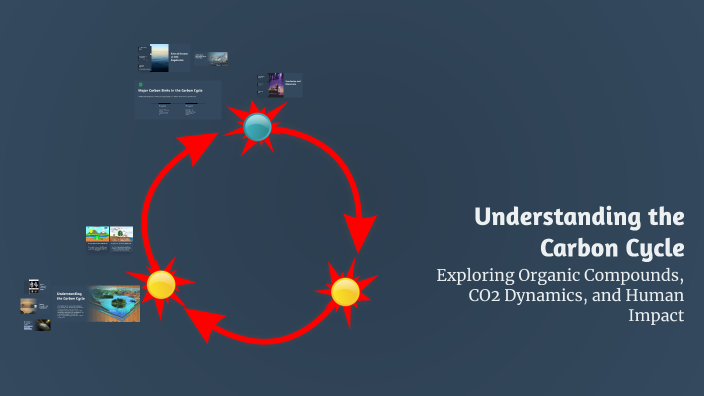 Understanding the Carbon Cycle by Aarav Shah on Prezi
