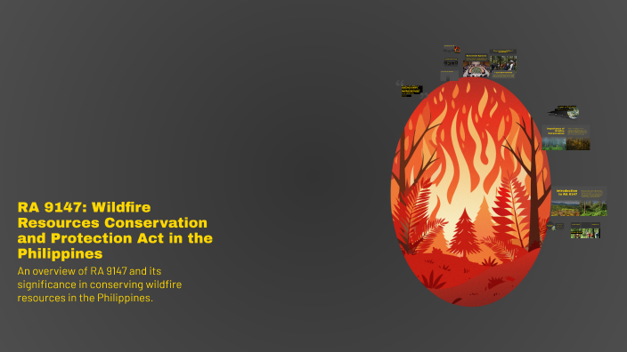 RA 9147: Wildfire Resources Conservation and Protection Act in the ...