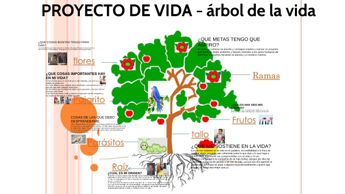 Proyecto de vida by Yuliana Mena on Prezi