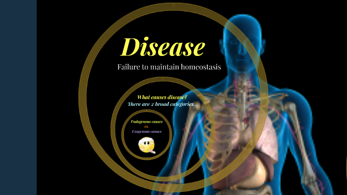 Disease & Homeostasis by Caroline Goff