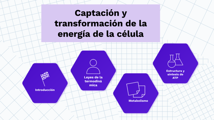 CAPTACIÓN Y TRANSFORMACIÓN DE LA ENERGÍA DE LA CÉLULA by Noemi Dishel