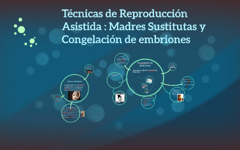 Tecnicas De Reproduccion Asistida : Madres Sustitutas Y Cong By Nora ...