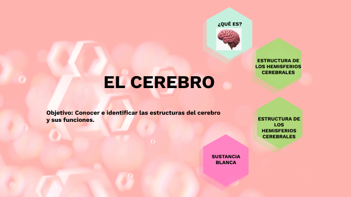 EL CEREBRO by Cristina C on Prezi