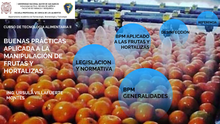 Buenas PrÀcticas De Manufactura Aplicada A La ManipulaciÓn De Frutas Y 