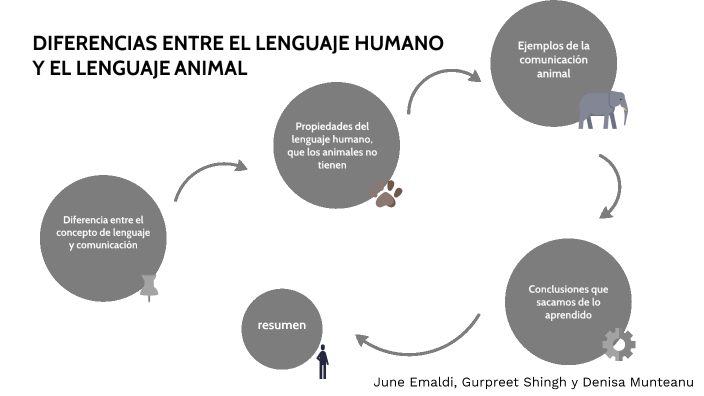 Comunicacion Animal Y Lenguaje Humano Resumen