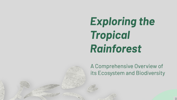 Exploring the Tropical Rainforest by Aubryelle Sorrow on Prezi