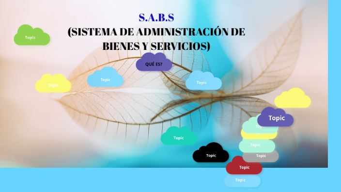 Sabs Sistema De AdministraciÓn De Bienes Y Servicios By Belén Diaz On Prezi 6608