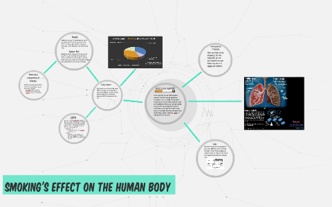 Smoking's Effect on the Human Body by Lucy Watson on Prezi
