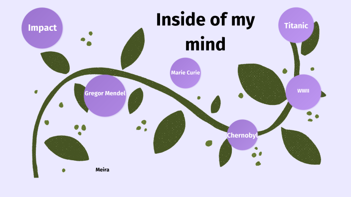 Meira Pezi Project by Tammy Davis on Prezi