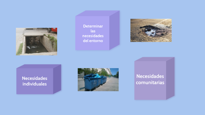 Determinar Las Necesidades Del Entorno By Josti Hidalgo On Prezi 4248