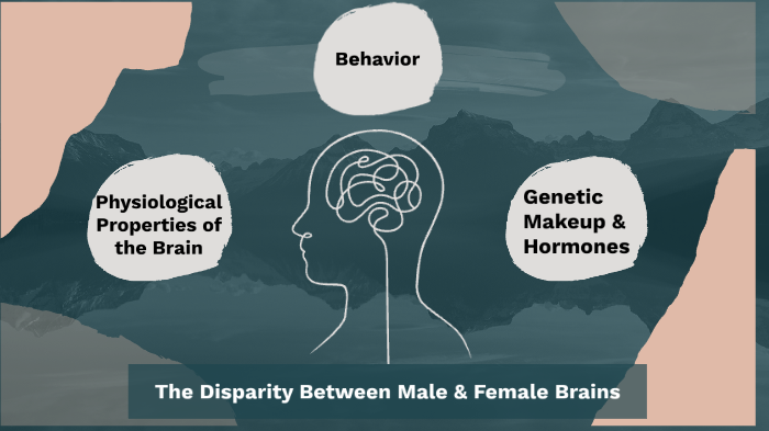 Poster Presentation on Male & Female Brain by Julia Duffy on Prezi