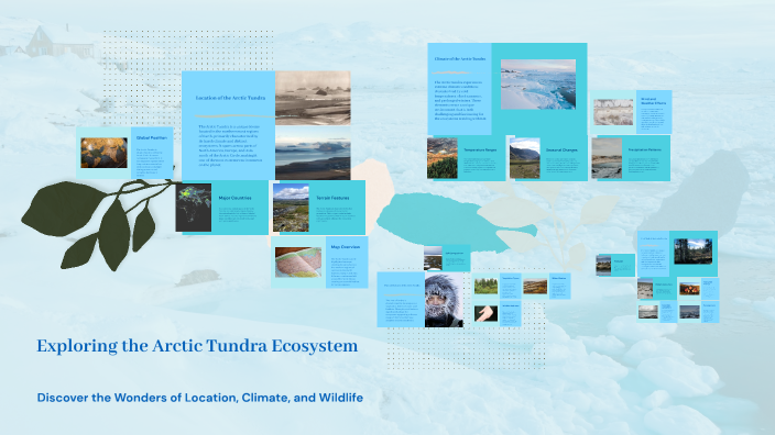 Exploring the Arctic Tundra Ecosystem by Sariah Millar on Prezi
