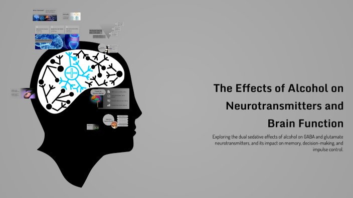 The Effects of Alcohol on Neurotransmitters and Brain Function by Rawan ...