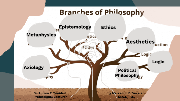 essay on branches of philosophy