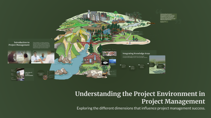 Understanding the Project Environment in Project Management by aida ...