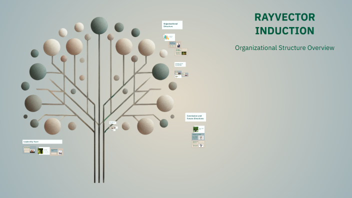 Rayvector Technologies RAYVECTOR INDUCTION by Mekhala K S on Prezi
