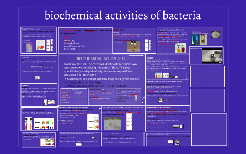 Biochemical Activities of Bacteria