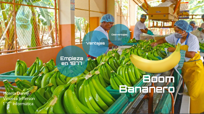 Bomm Bananero Ec By Danny Moreta On Prezi Next