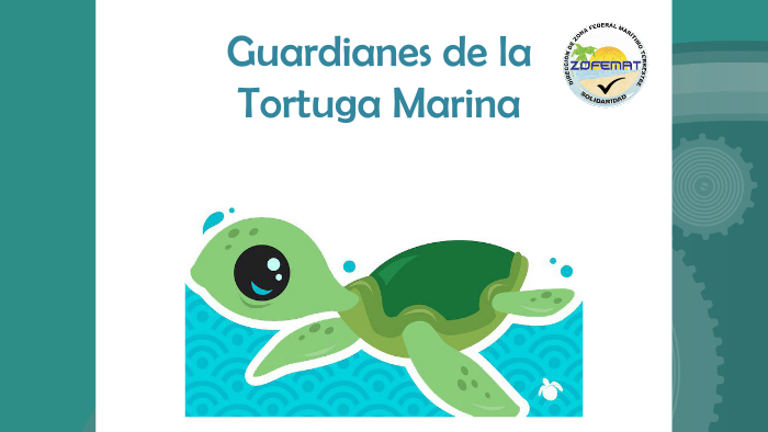 GUARDIANES DE LA TORTUGA MARINA by Zofemat Solidaridad on Prezi