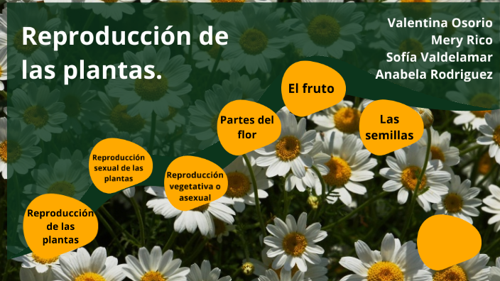 Exposición de Biología by Mery Rico González