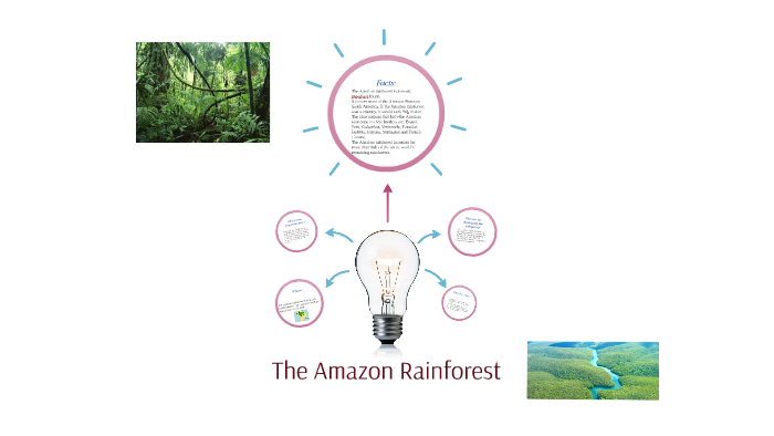 The Amazon Rainforest by Eloise Spicer on Prezi