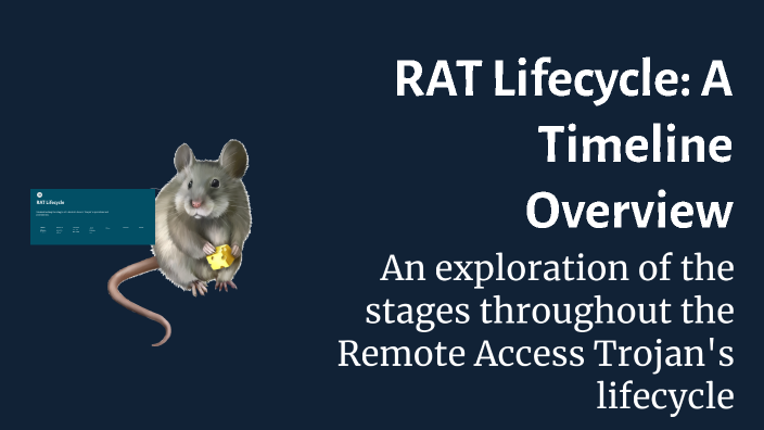 Life Cycle Using Rats RAT Lifecycle: A Timeline Overview by Mohamed Gassoumi on Prezi