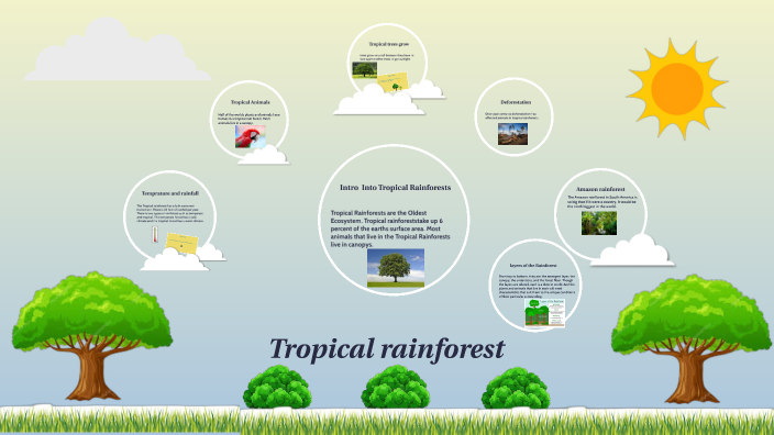 Tropical rainforest by Ruby green on Prezi