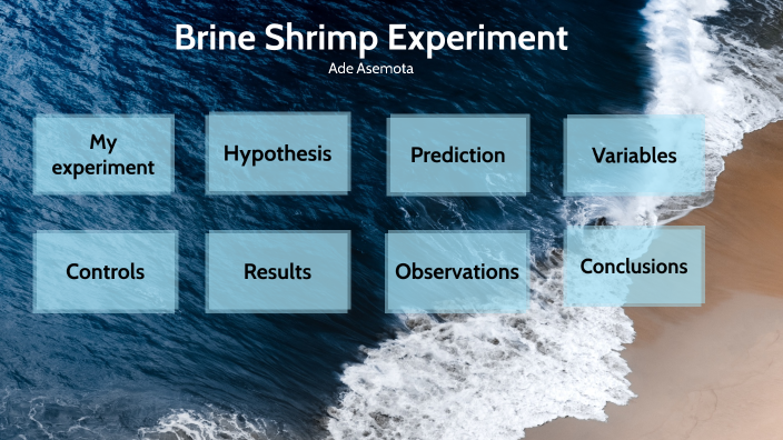 brine shrimp caffeine experiment