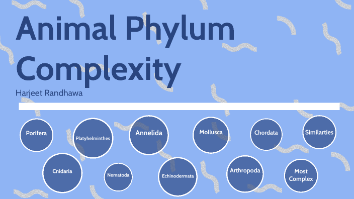 Animal Phylum Complexity by Harjeet Randhawa