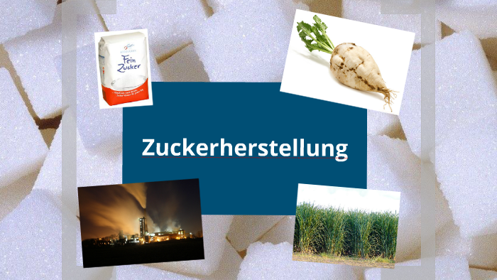 Zuckerherstellung By Kenny Brach On Prezi