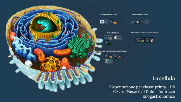 La cellula by Alberto Galiazzo on Prezi