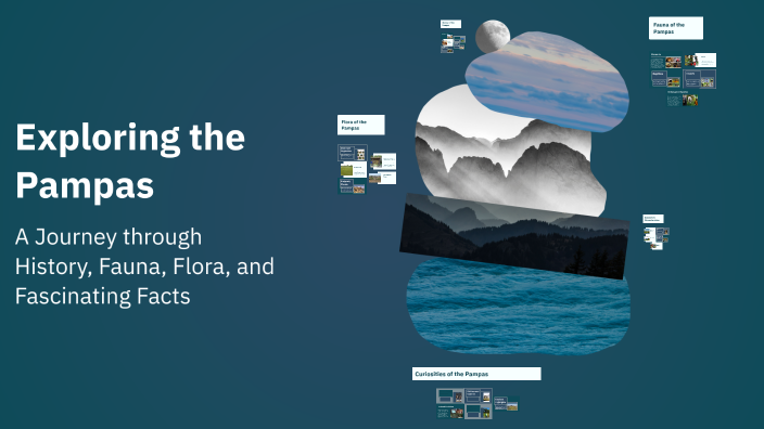 Exploring the Pampas by Julia Manhães on Prezi