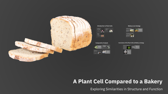 An Plant Cell compared to a Bakery: Madi by Madi Cooper on Prezi