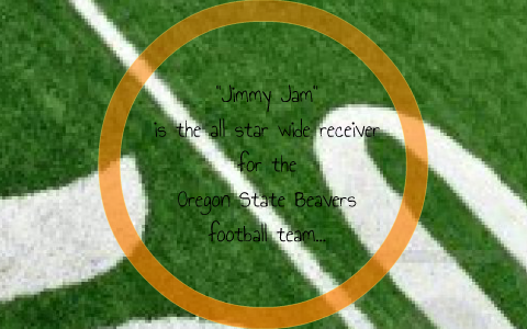 Football fanaticism case study 08 picture