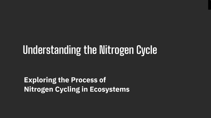 Understanding the Nitrogen Cycle by yana xhie on Prezi