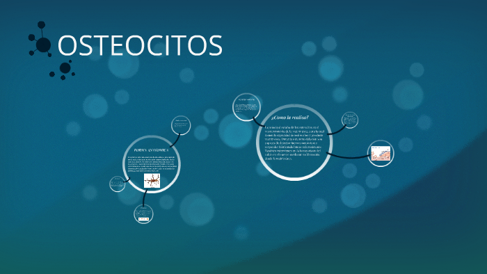 OSTEOCITOS by Pau Moreno on Prezi